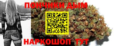 индика Партизанск