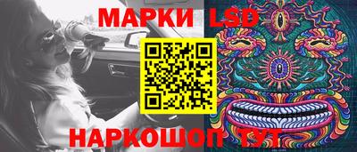 индика Партизанск