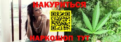 прущие грибы Пенза