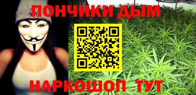индика Партизанск