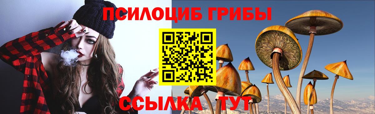 Псилоцибиновые грибы Psilocybine cubensis Ростов Великий